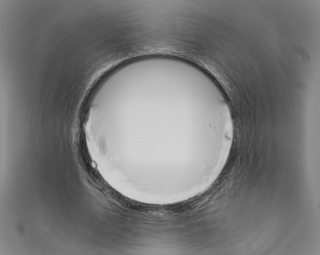 X0000110320583200907021203