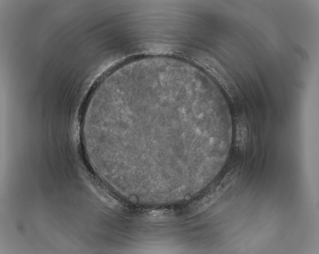 X0000110320584200907021203