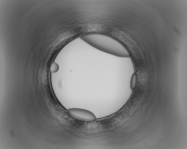 X0000110320587200907021203