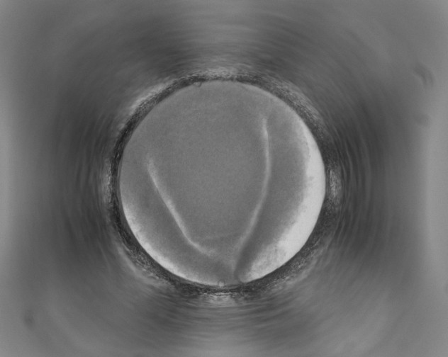 X0000110320588200907021203