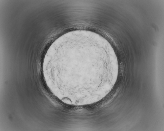 X0000110320589200907021203