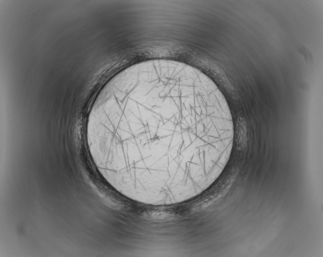 X0000110320590200907021203