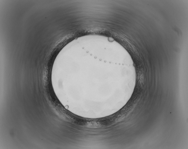 X0000110320591200907021203