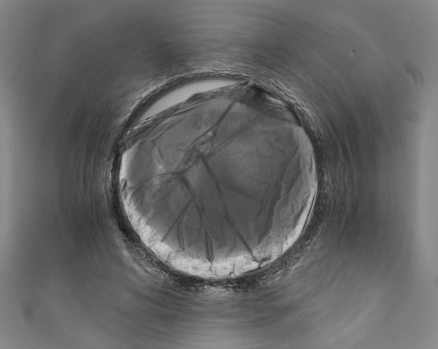 X0000110320592200907021203