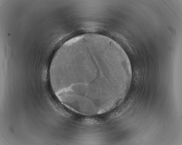 X0000110320596200907021203