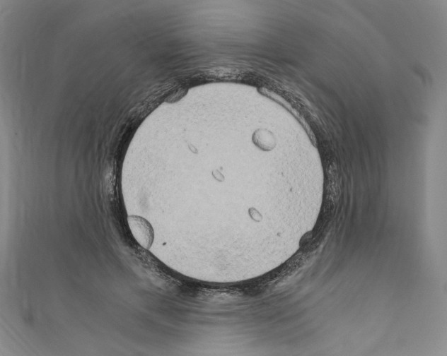 X0000110320597200907021203