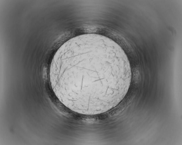 X0000110320598200907021203