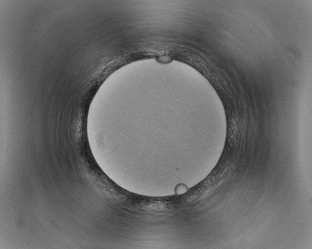 X0000110320600200907021203