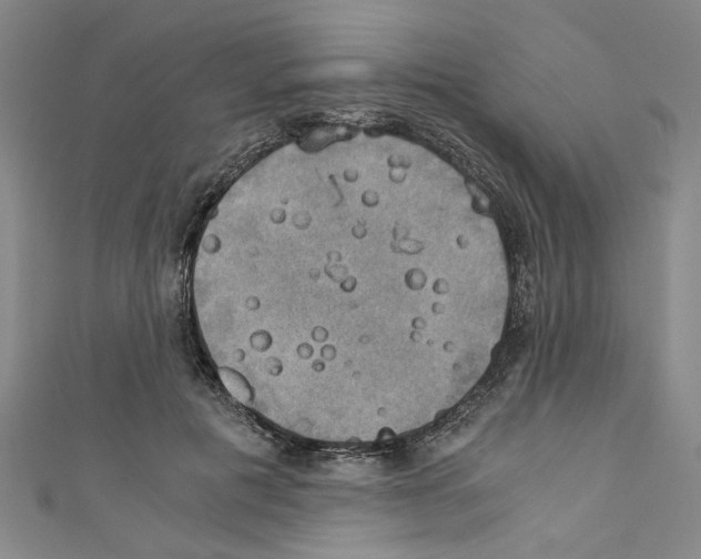 X0000110320601200907021203