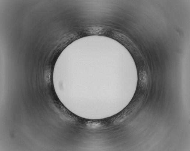 X0000110320602200907021203