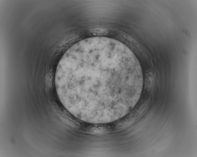 X0000110320604200907021203