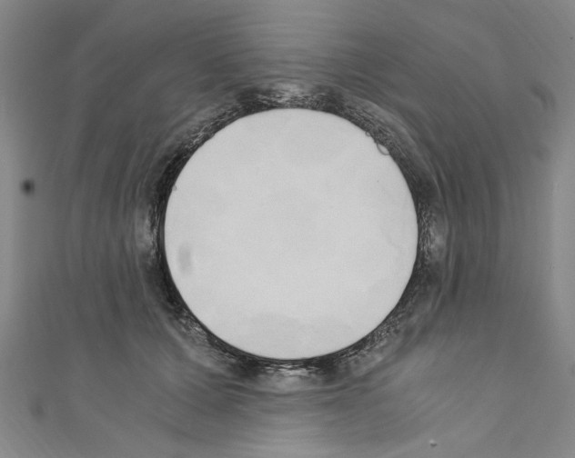 X0000110320607200907021203