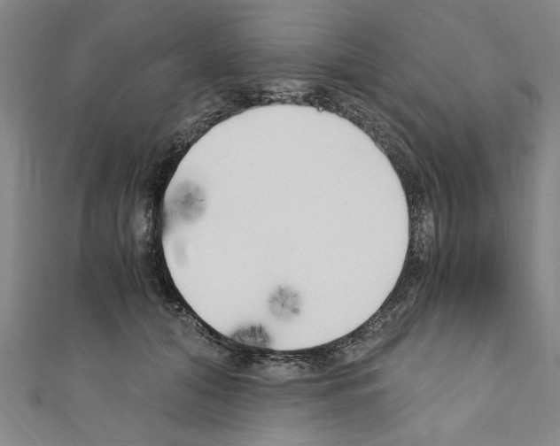 X0000110320608200907021203