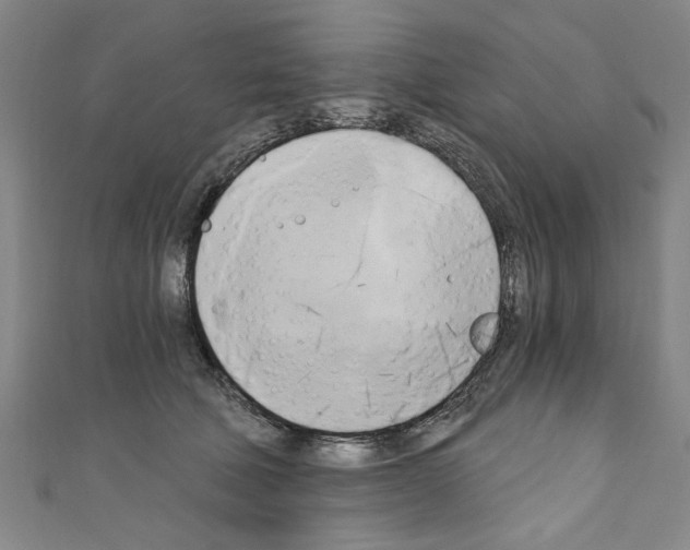 X0000110320610200907021203