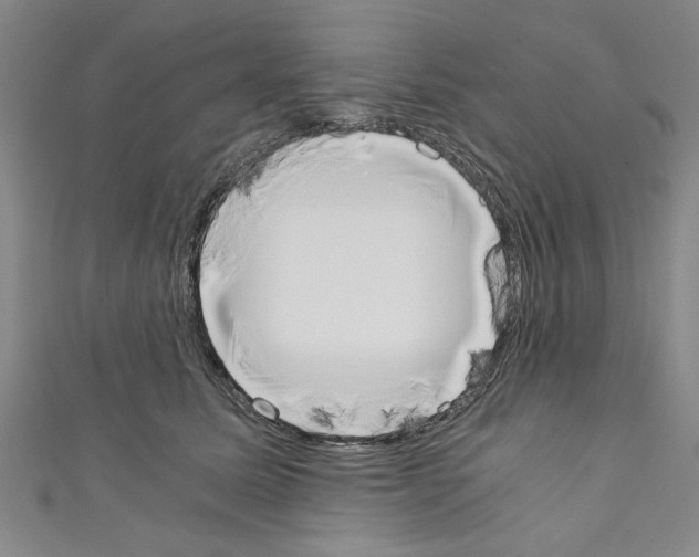 X0000110320611200907021203