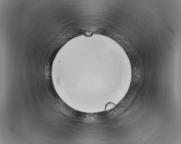 X0000110320612200907021203