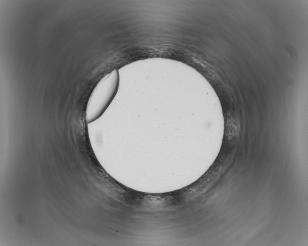 X0000110320613200907021203