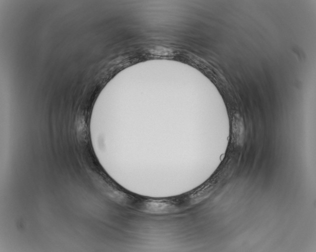 X0000110320614200907021203