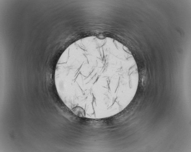 X0000110320615200907021203