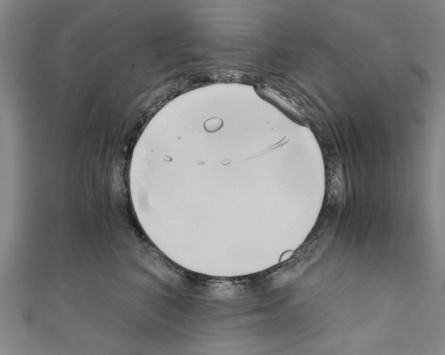 X0000110320616200907021203