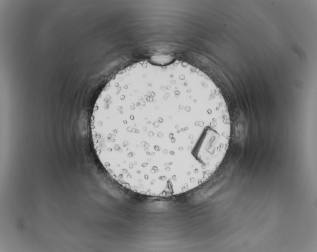 X0000110320620200907021203