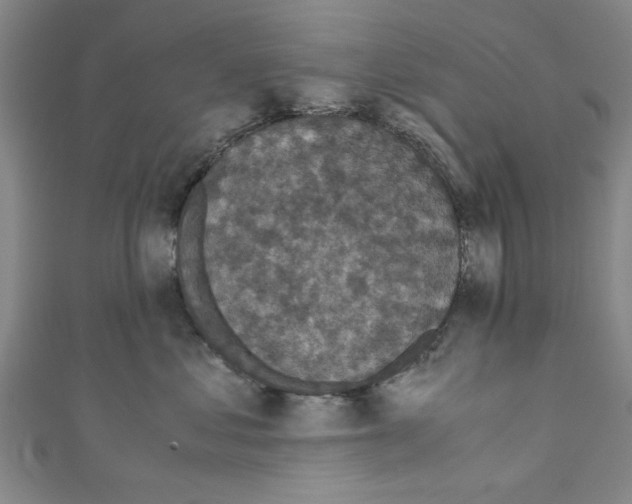 X0000110320621200907021203