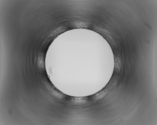 X0000110320622200907021203