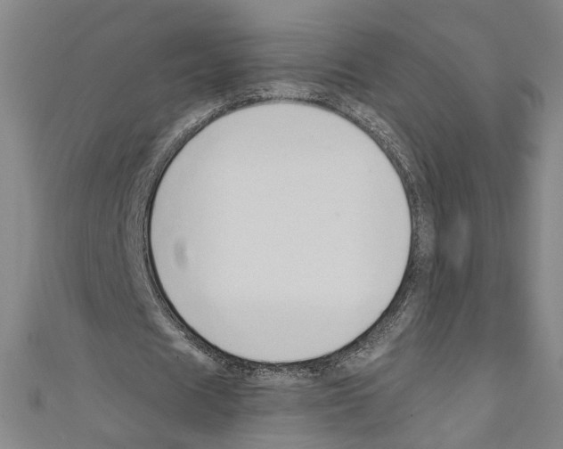 X0000110320625200907021202