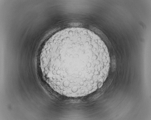 X0000110320626200907021202