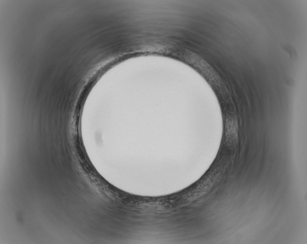 X0000110320628200907021202