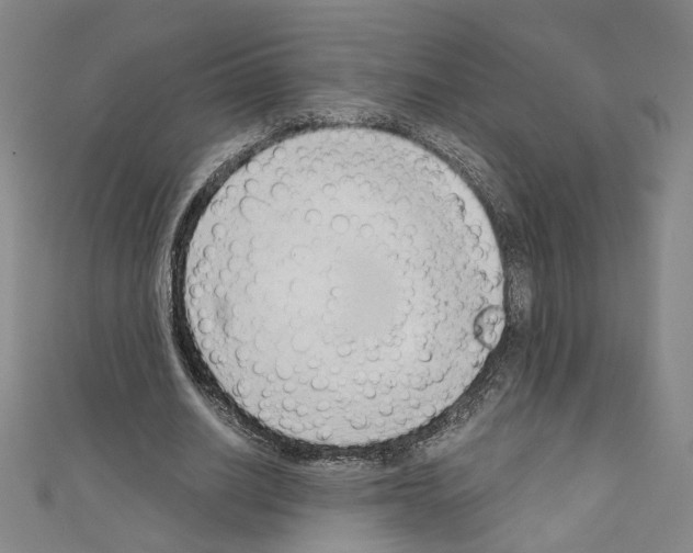 X0000110320630200907021202