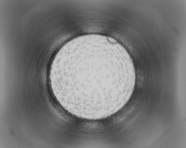 X0000110320631200907021202