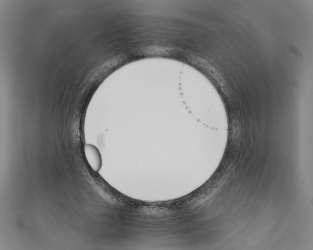 X0000110320633200907021202