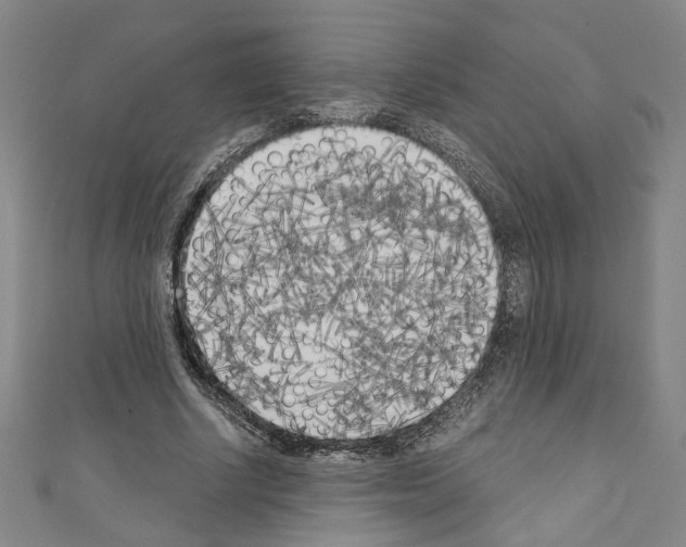 X0000110320634200907021202