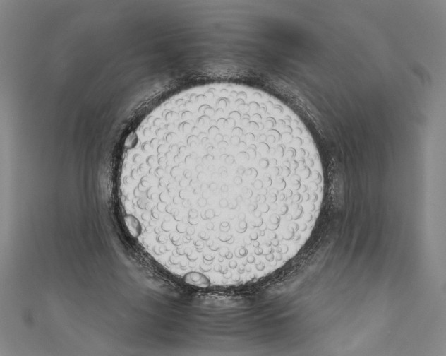 X0000110320635200907021202