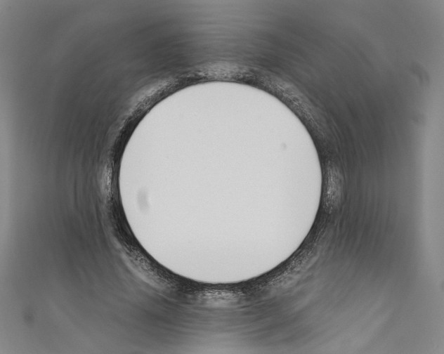 X0000110320636200907021202