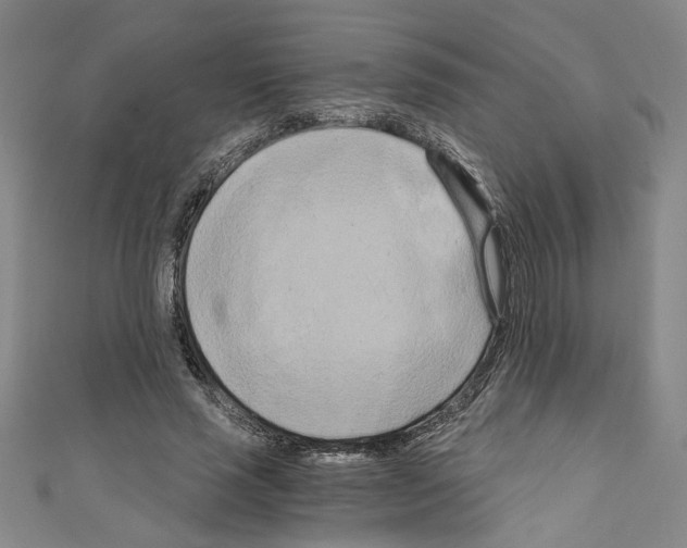 X0000110320637200907021202