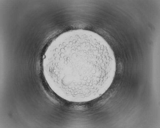 X0000110320638200907021202