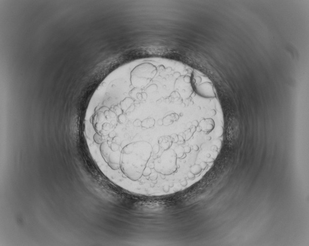 X0000110320639200907021202