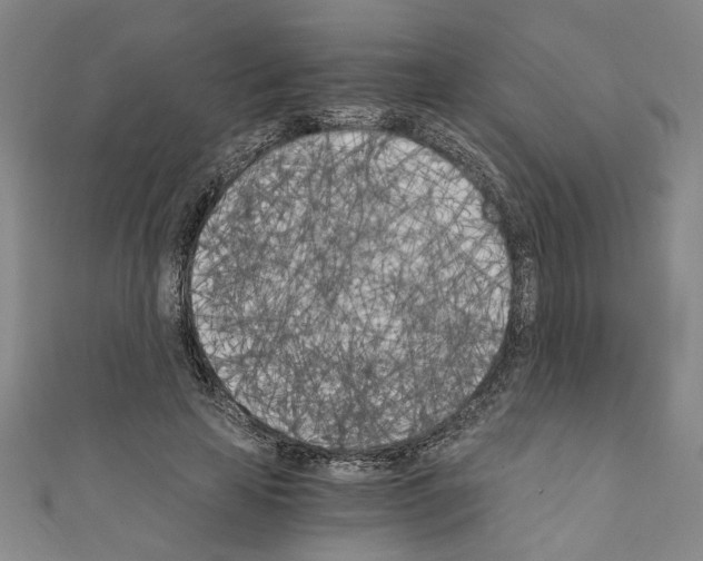 X0000110320641200907021203