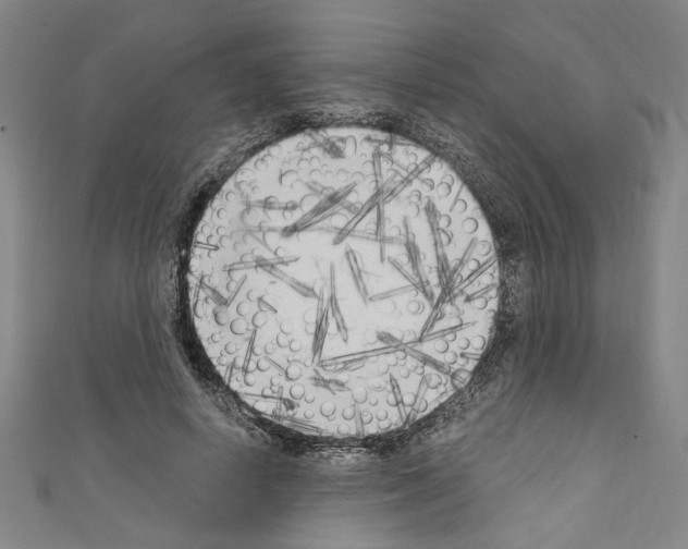 X0000110320642200907021203