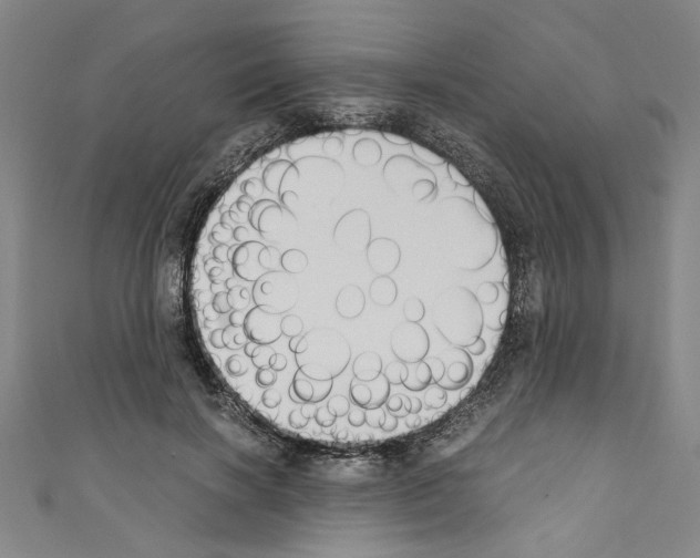 X0000110320646200907021203