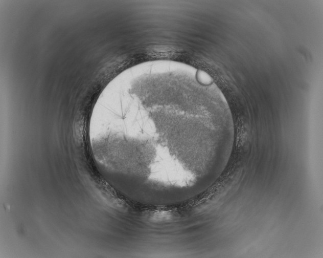 X0000110320647200907021203