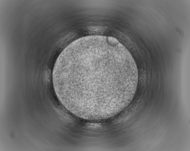 X0000110320649200907021203