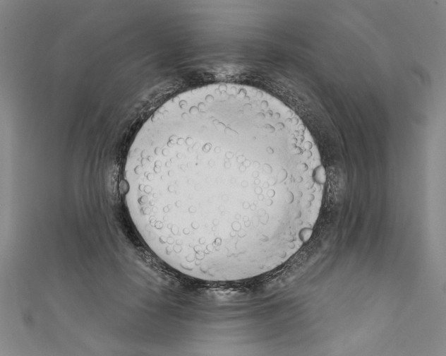 X0000110320650200907021203