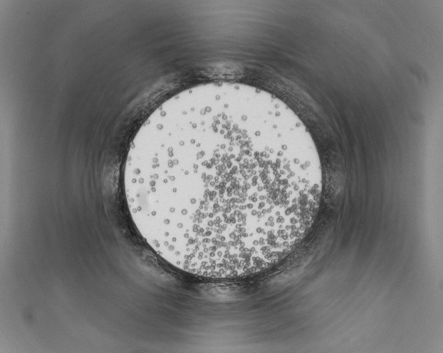 X0000110320652200907021203