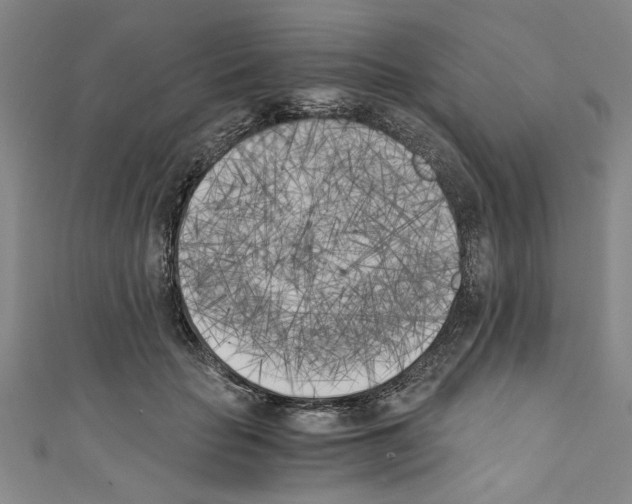 X0000110320653200907021203