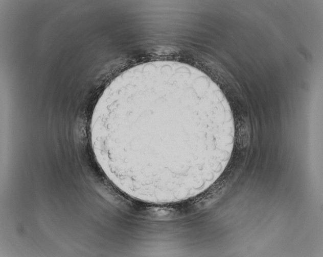 X0000110320654200907021203