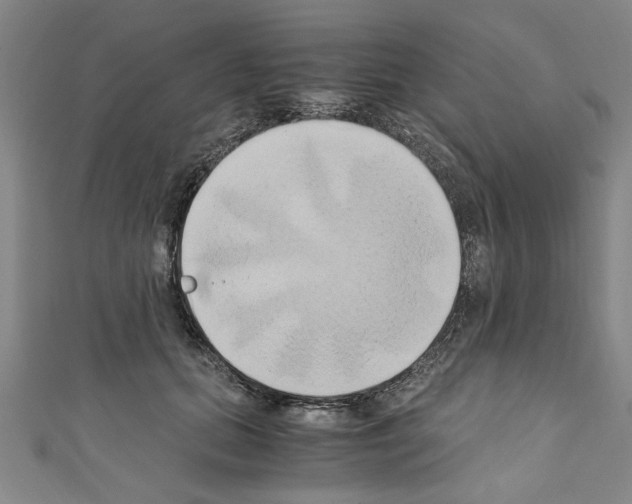 X0000110320655200907021203