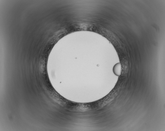 X0000110320656200907021203